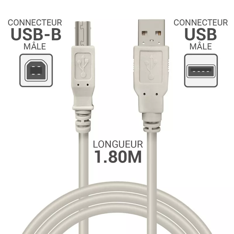 Câble imprimante USB 2.0 A/B Moulé 2 m – Connectique fiable pour imprimantes | Mamoudzou, Mayotte