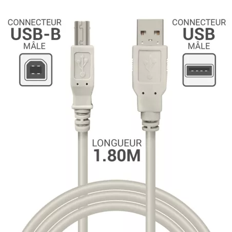 Câble imprimante USB 2.0 A/B Moulé 2 m – Connectique fiable pour imprimantes | Mamoudzou, Mayotte