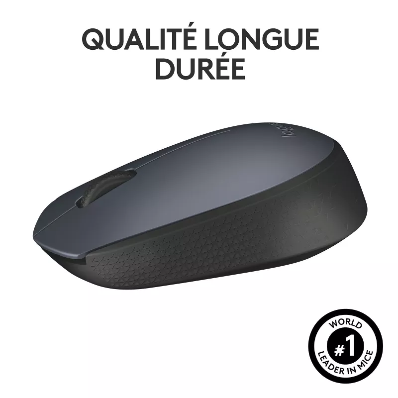 Logitech M170 Wireless Mouse (Gris) - MAY PLAY-TECH Mayotte
